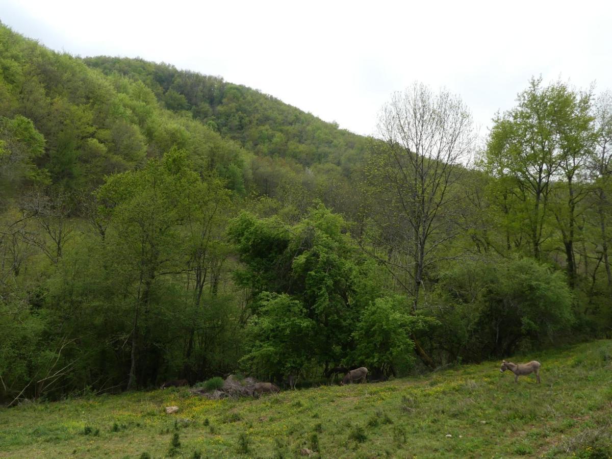 Source Nature Le Mas-d'Azil Экстерьер фото
